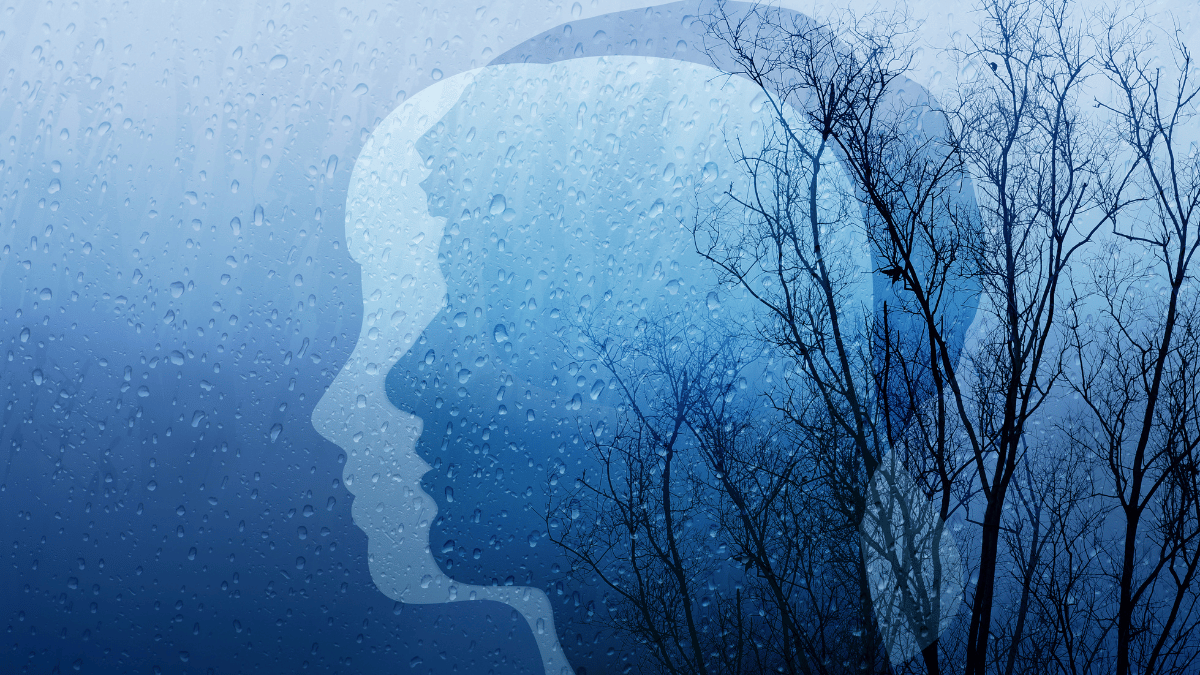 Silhouette of a person's profile against a rain-streaked window with bare trees, symbolizing isolation and hidden grief